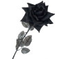 Ramo 3 Rosas Negras Ramo 3 Rosas Negras