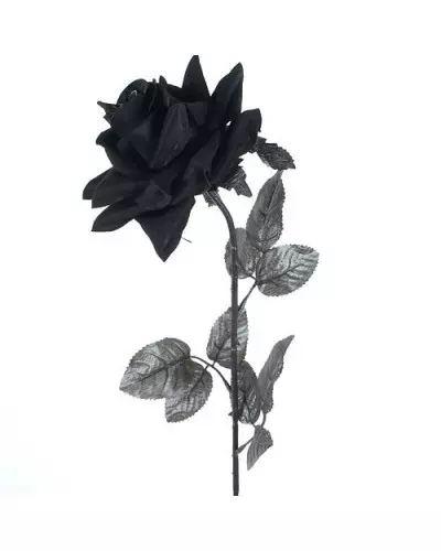 Três rosas buquê preto da Marca Style por 8,40 €