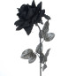 Ramo 3 Rosas Negras Ramo 3 Rosas Negras