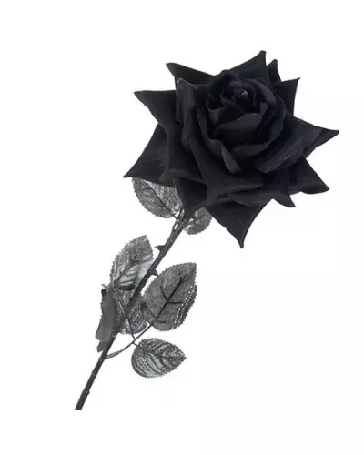 6 Schwarze Stoff-Rosen der Style-Marke für 16,20 €