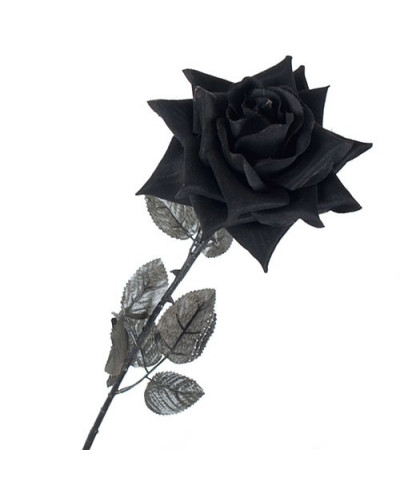 Ramo 12 Rosas Negras