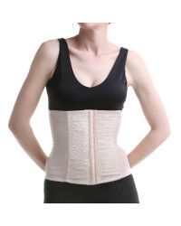 Corset Waist Training