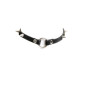 Halsband mit Spikes