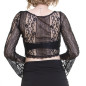 Transparent Lace Top
