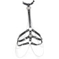 Harness with Pentagrams Harness with Pentagrams
