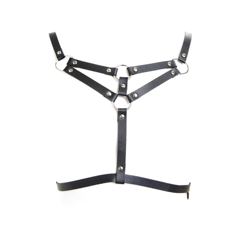 Harness with Rings Harness with Rings