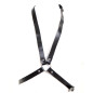 Harness with Ring