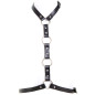 Harness with Rings Harness with Rings