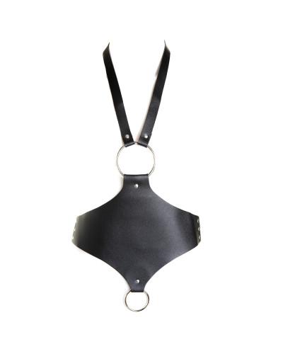 Black Gothic Harness