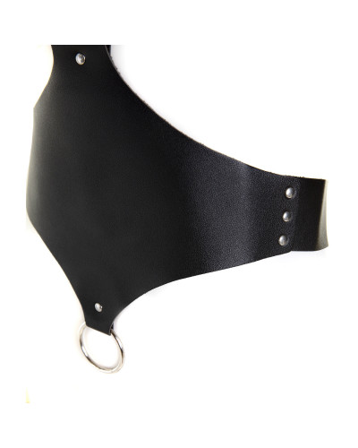 Black Gothic Harness