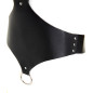 Black Harness Black Harness