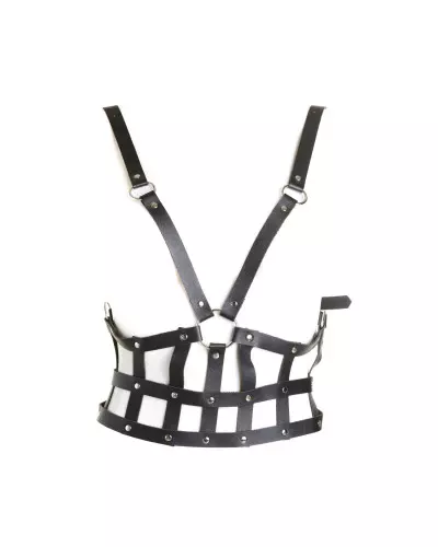 copy of Harness with Studs from Style Brand at €17.00