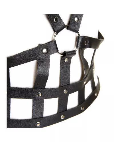 copy of Harness with Studs from Style Brand at €17.00