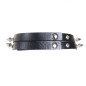 Choker with Ring Choker with Ring