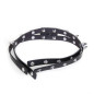 Choker with Ring Choker with Ring