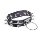 Choker with Ring Choker with Ring