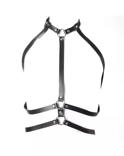 Harness with Studs and Rings