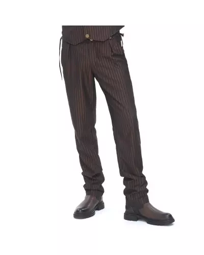 Brown Pants with Stripes for Men