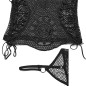 Transparent Top Transparent Top