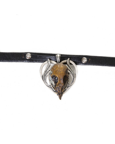 Choker with Bird Skull