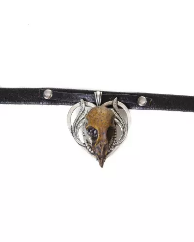 Halsband mit Vogelschädel der Crazyinlove -Marke für 7,00 €