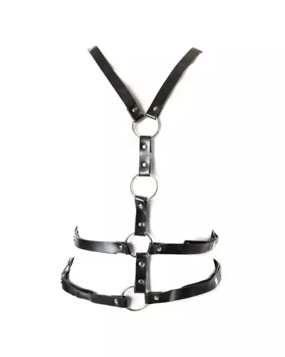 2 Position Harness