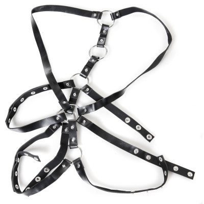 2 Position Harness