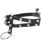 Halsband mit Stacheln Halsband mit Stacheln