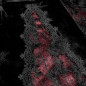 Vestido Largo Tirantes Vestido Largo Tirantes