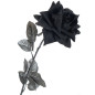 Schwarze Stoff-Rose