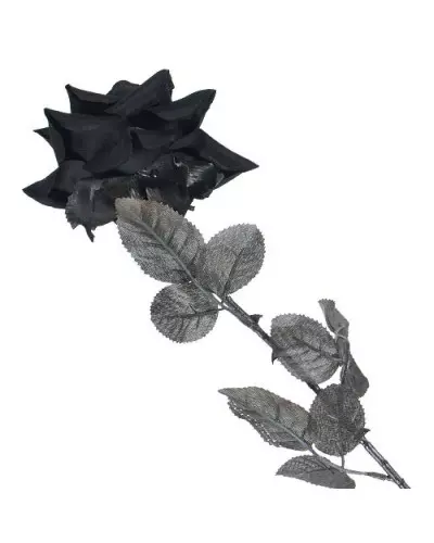Rose Noire de la Marque Style à 2,90 €