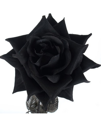 Rosa De Tela Negra