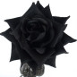 Schwarze Stoff-Rose