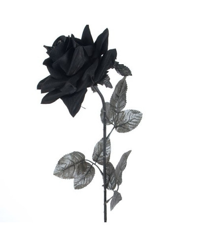 Rosa De Tela Negra