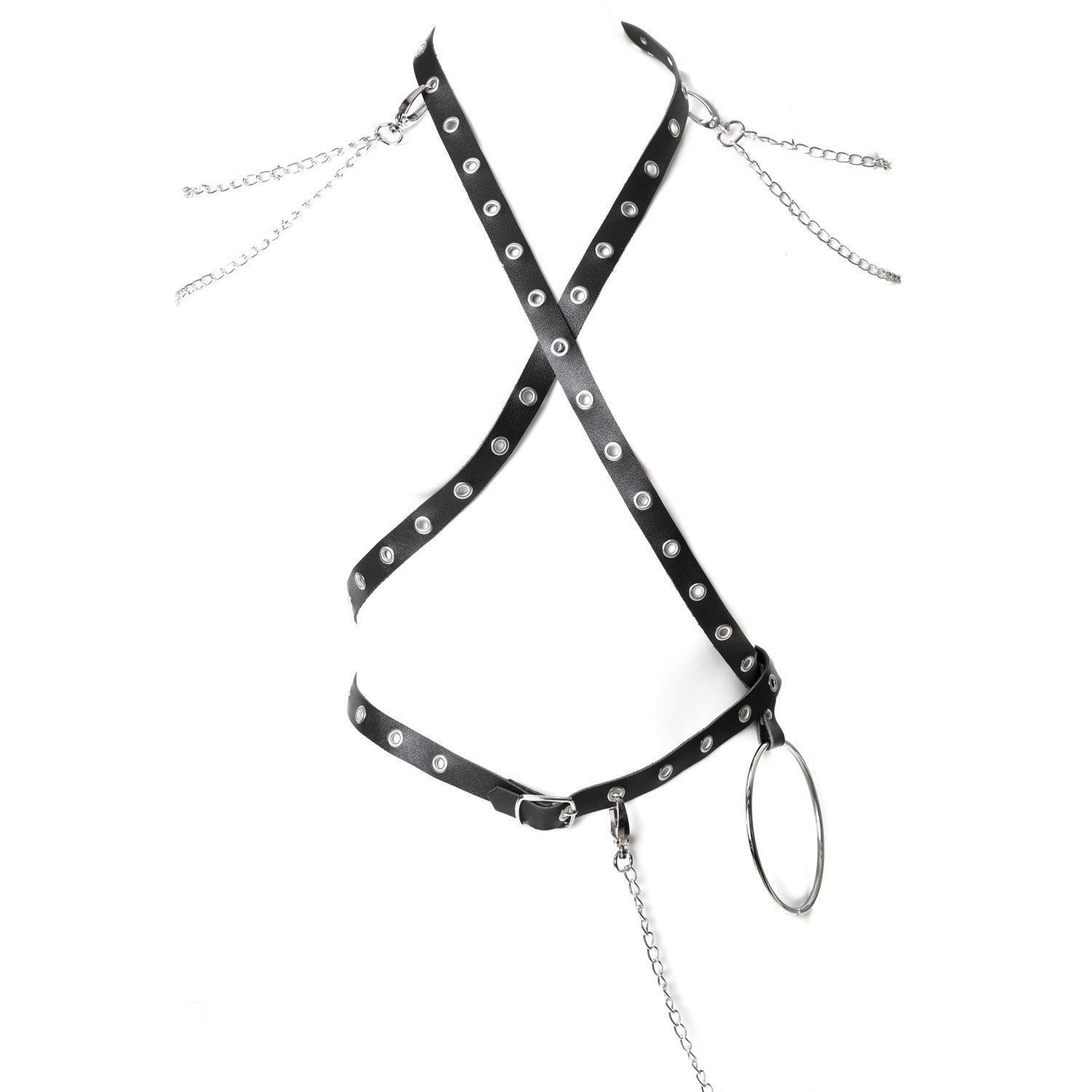 Multifunctional Harness