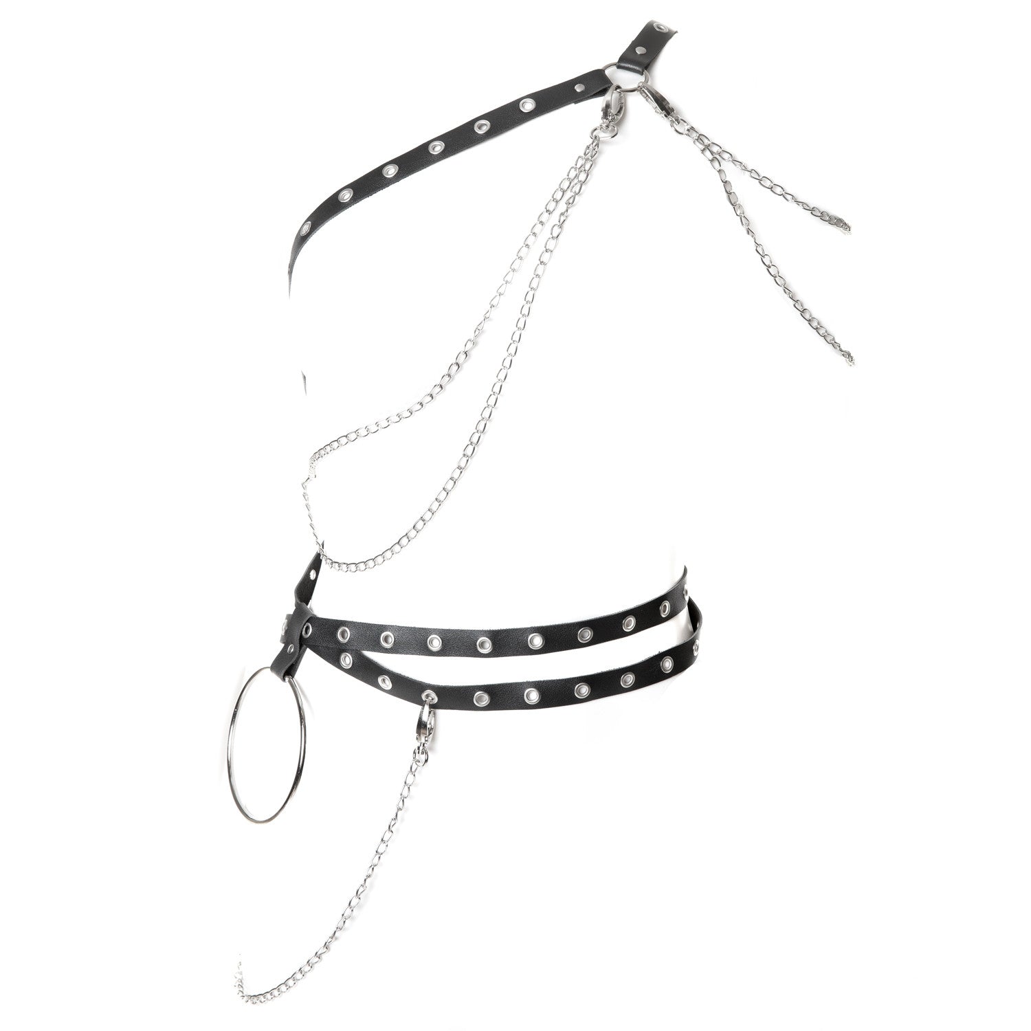 Multifunctional Harness