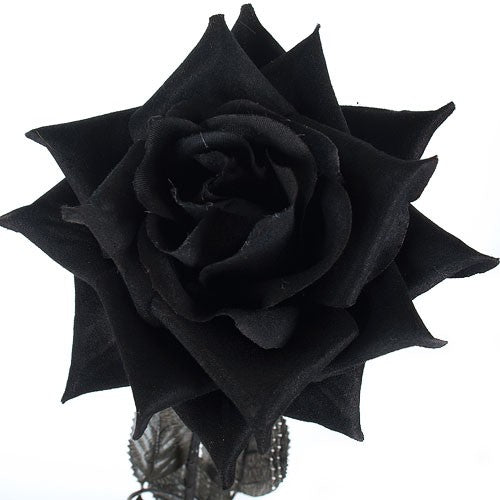 Rosa De Tela Negra