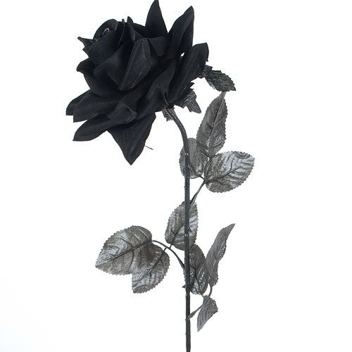 Rosa De Tela Negra